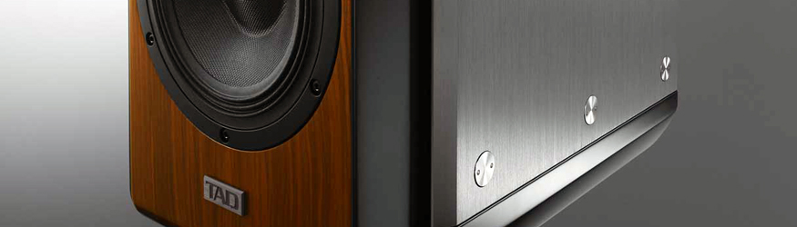 TAD Compact Evolution One Speaker