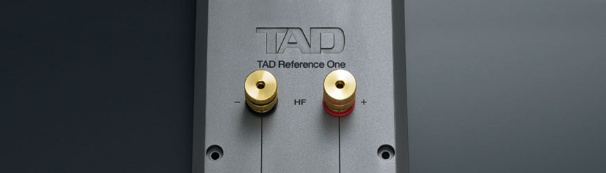 TAD Reference One Speaker System